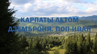 Отдых недорого. Карпаты летом. Дземброня. Поп-Иван