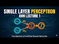 Single Layer Perceptron: The Foundation of Modern AI