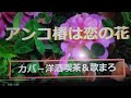 都はるみの「アンコ椿は恋の花」作詞:星野哲郎,作曲:市川昭介。(歌いだし)三日おくれの便りをのせて 、、、、、、