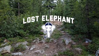Lost Elephant Dumbo 2025