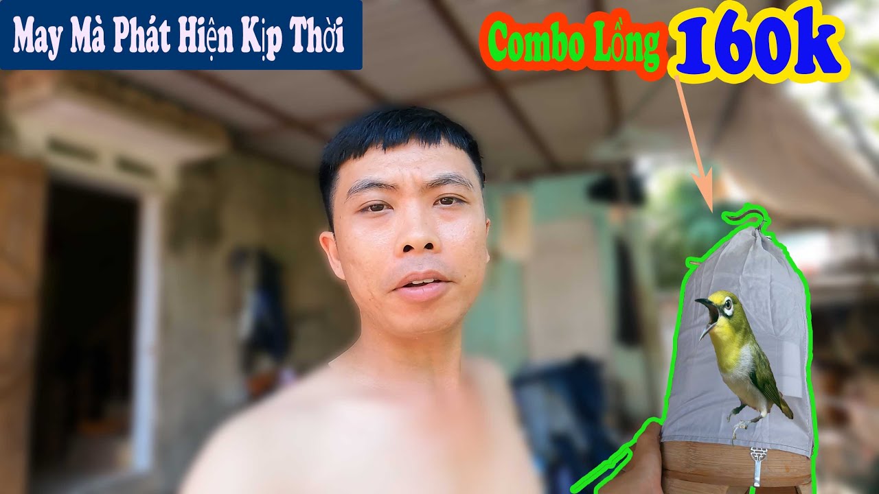 Xíu Bị M.ất Hết Đàn Chim Khuyên || Và Mua Thêm Combo Lồng Chim Khuyên// Chiến Ơi