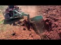 New vine planting  plowing an old vineyard with a fiat 8285 old crawler tractor 