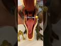 Is this true dinosaur trex dinos toy babytrex jurassicpark shortsfyptrueorfalse