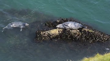 The Ultimate Guide to Modern Web Development