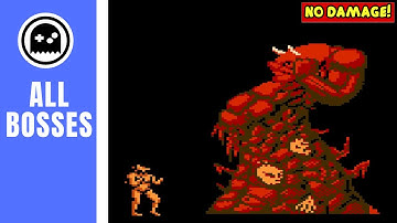 Altered Beast (NES) - All Bosses - (No Damage)