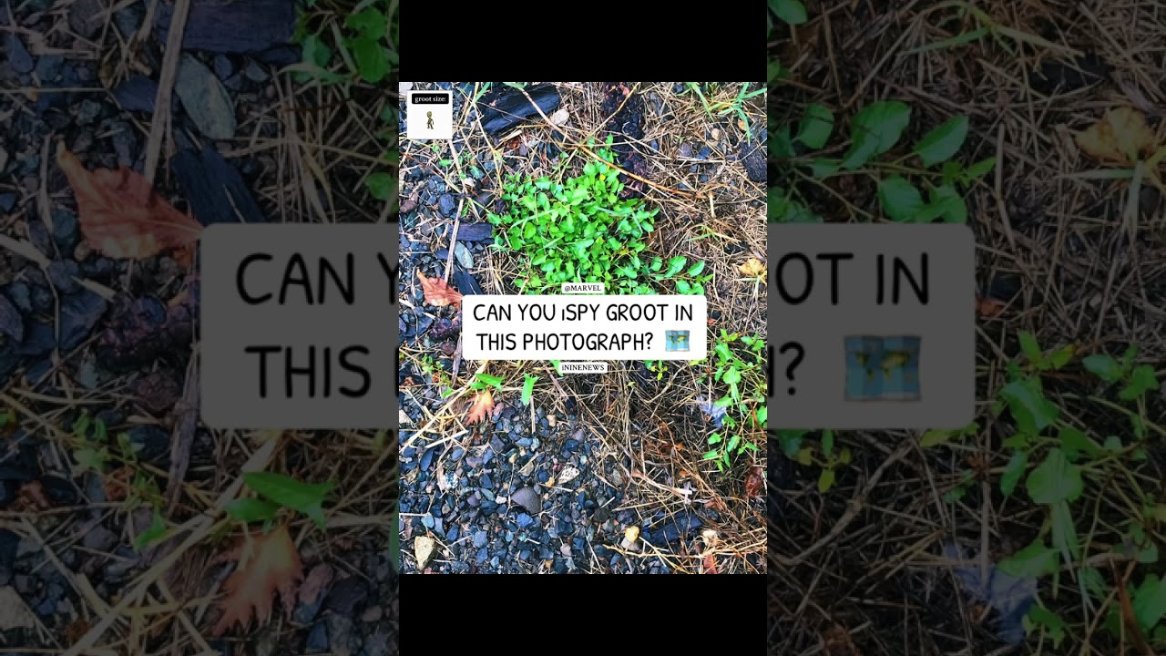 NATURE MEME 🗺️ • 