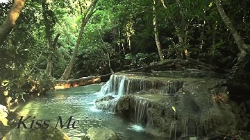 Âm thanh của tiếng suối chảy róc rách   Thư giãn cùng âm thanh của thiên nhiên ★5