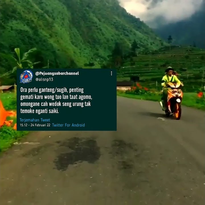 dj cintaku |dj viral tiktok |story wa 30 detik #shorts #djkomang