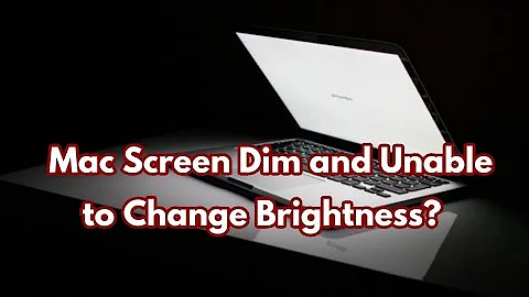 Mac Screen Dim and Unable to Change the Brightness in macOS Catalina - Here's the Fix