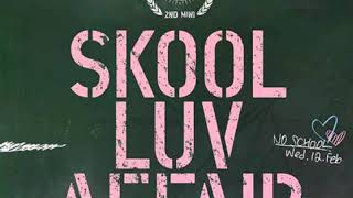 Boy In Luv - (  INSTRUMENTAL ) - BTS