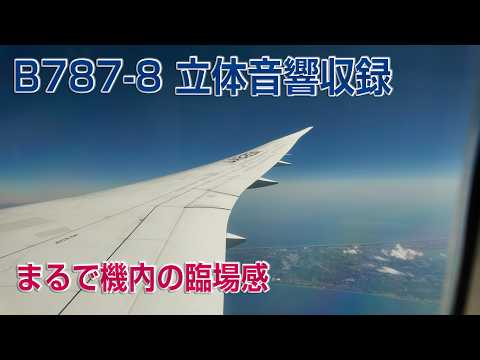 Ultimate Flight ASMR at 41,000ft ✈️ ANA B787-8 Cabin Sound (No Ads)