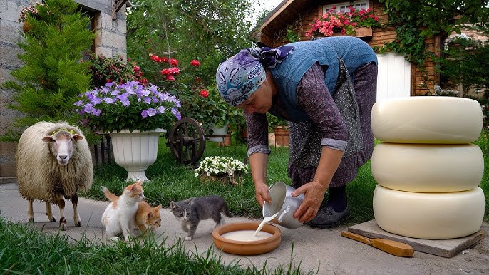 Caucasian Cheese Making | From Fresh Milk to Delicious Cheese - YouTube