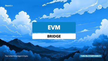 EVM - Bridge