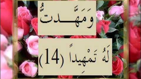 القران الكريم سورة المدثر الاية  14