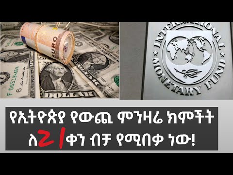 ቪዲዮ: የአካባቢ መሐንዲስ፡የወደፊት ጠባቂ