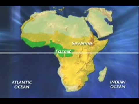 Video: Features of Africa