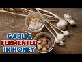 🐝🧄 How To Make Garlic Fermented In Honey Recipe