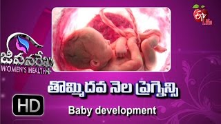 Jeevanarekha Women's Health | Baby Development  | 9th January 2017 | జీవనరేఖ ఉమెన్స్ హెల్త్