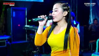 Download Lagu CHIVAS MUSIC - TAK PERNAH DITA DONITA - WEDDING AYU \u0026 FAISAL JAMBU TIMUR SEGEBUG MLONGGO JEPARA MP3