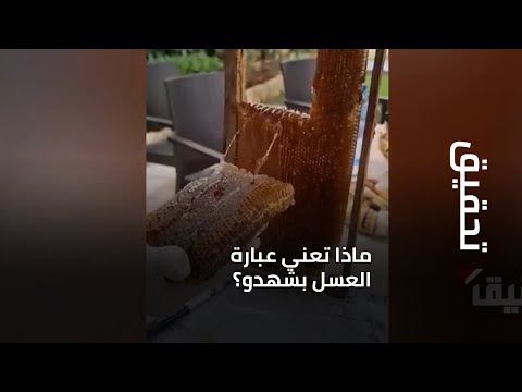 تحقيق ماذا تعني عبارة العسل بشهدو