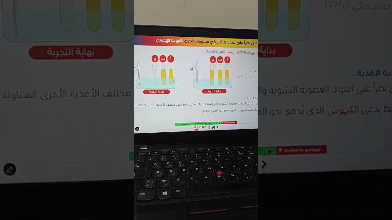 الهضم على مستوى المعي الدقيق الجزء الأول #العلوم_الطبيعية #رابعة_متوسط 