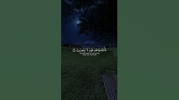 #ماهرالمعيقلي #تلاوة_خاشعة 💞#القران_الكريم #اكسبلور #explore #goneviral#foryou#viral