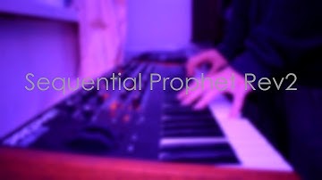 Sequential Prophet Rev2 - Blade Runner Style Pads