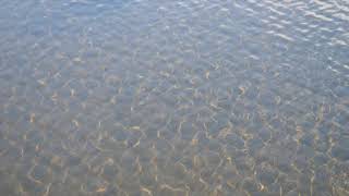 フリー素材 流れる水 川の背景 著作権フリー Youtube