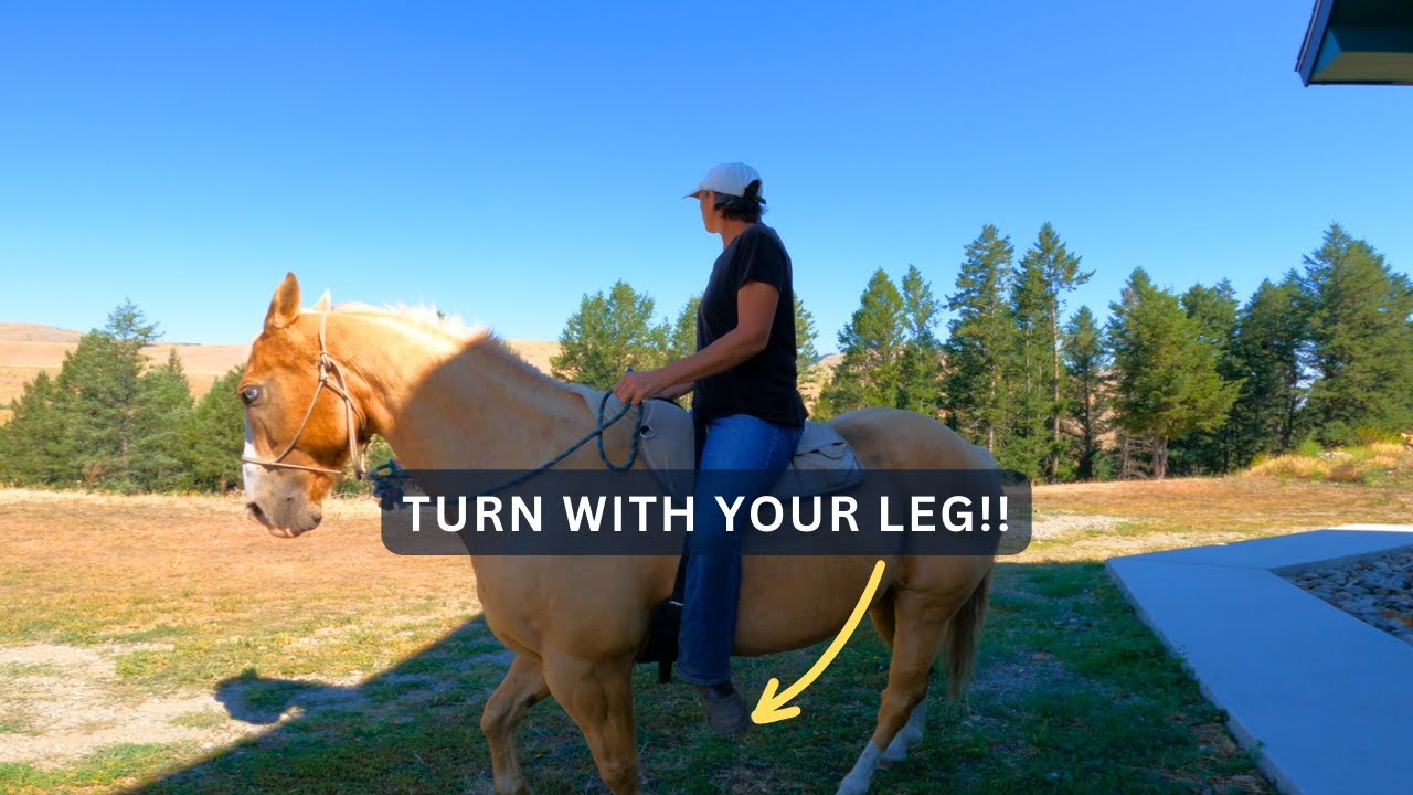 HOW TO USE YOUR LEGS TO TURN A HORSE YouTube HOW TO USE YOUR LEGS TO TURN A HORSE YouTube