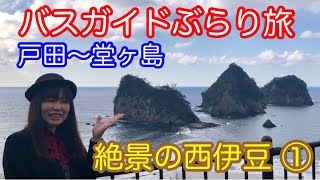 バスガイドぶらり旅  vol.46  絶景の西伊豆（前編）