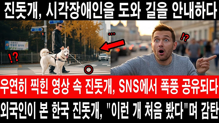 [해외감동사연] 시각장애인을 도운 진돗개, 한국에서 본 영국 관광객들 눈물  #해외반응 #외국반응 #외국인반응 #해외사연 #해외감동사연 #실화기반 #진돗개