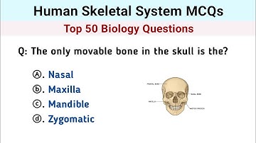 Human Skeletal System Mcq | Skeletal System Questions and Answers | biology mcq