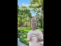 Segurança da Informação na Vida Real