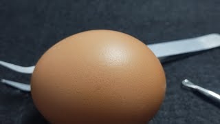 Live chat part 3: Raw egg cracking challenge – Guess whether this egg will break or not