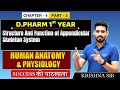 D.Pharm 1st Year | Human Anatomy &amp; Physiology: Structure Appendicular Skeletal | Chap.4 (Part 3)