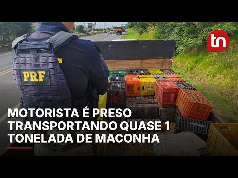 Caminhão quebra na estrada e PRF apreende quase 1 tonelada de maconha em Arapongas