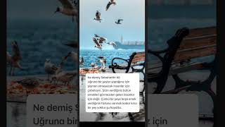 İyi Insanlara Denk Gelin.