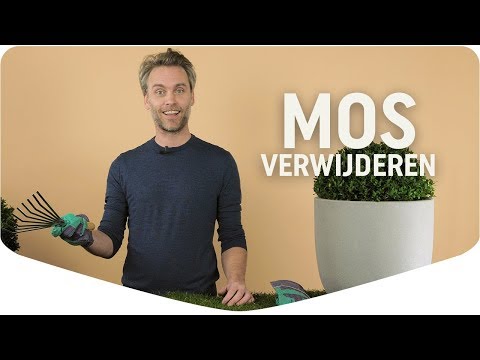 Video: Hoe Om Mos Uit 'n Blombedding Of Grasperk Te Verwyder?