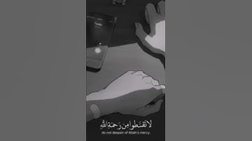 | قرآن كريم |حالات واتس اب ديني | القارئ وديع اليمني |