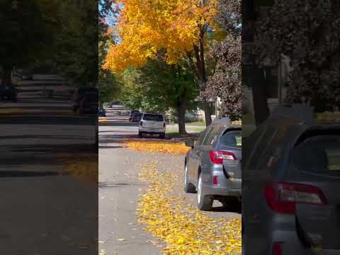 42 degrees and sunny! Beautiful morning for a