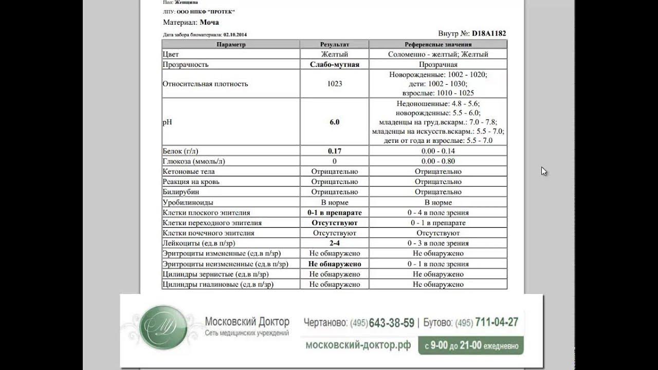 Содержание лейкоцитов в моче