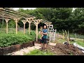 Beautiful Garden Trellis from Forest to Finish | Off-Grid Homestead Life