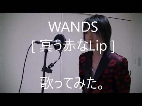 WANDS[真っ赤な Lip ]歌ってみた。匱京kikyo #名探偵コナン#WANDS#第5期#ワンズ