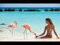 Just very beautiful romantic video HD and beautiful calm instrumental music.