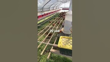 How we daily move 15,000 hens on pasture - HenGear Portable Chicken Coops -20’x48’