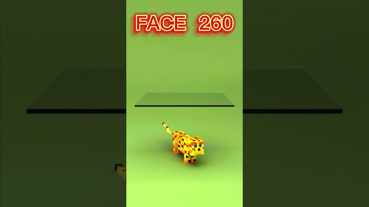 3D Cloth Simulation in Minecraft 