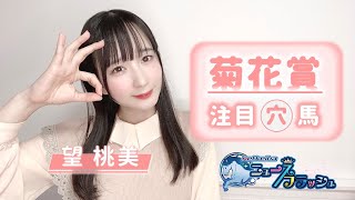 【菊花賞】2週連続無敗の三冠馬誕生なるか!?ももみの注目穴馬