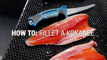 How To Fillet a Kokanee or Trout Quick and EASY!