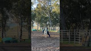 IMG 0049