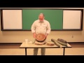 Unlocking the Secrets of Tree Rings and Growth Patterns
